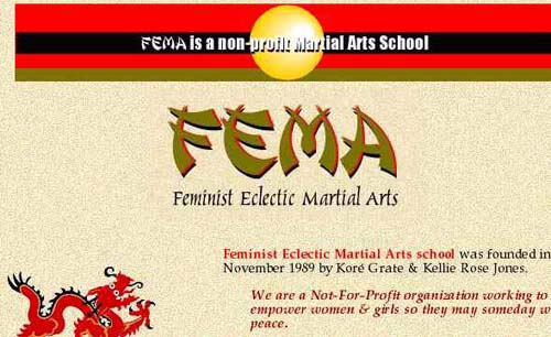 Feminist Eclectic Martial Arts